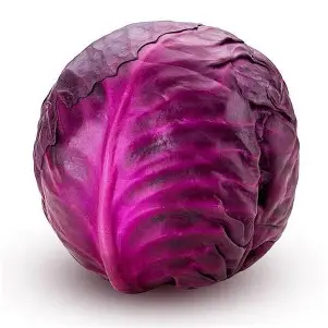 1778418692_red cabbage.webp